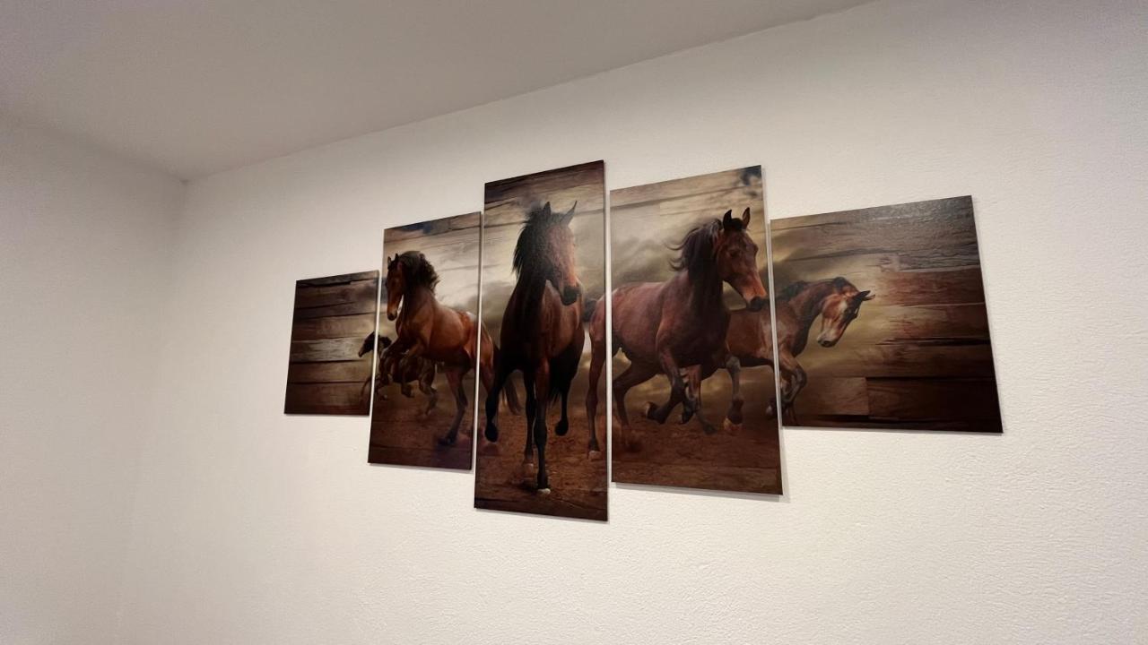 Ranchhouse Smoker- Westernstable - Horse Elterlein ภายนอก รูปภาพ