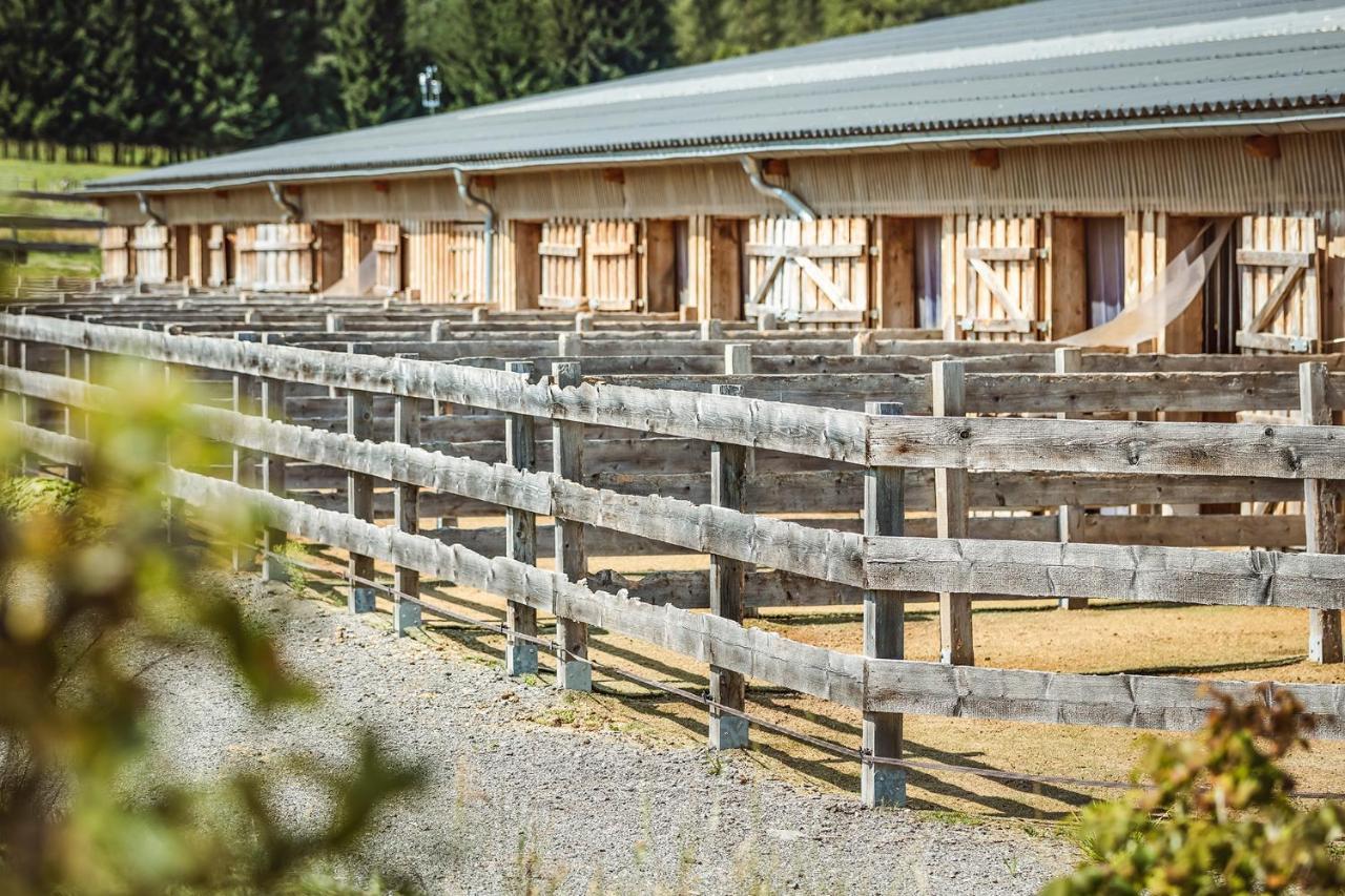 Ranchhouse Smoker- Westernstable - Horse Elterlein ภายนอก รูปภาพ