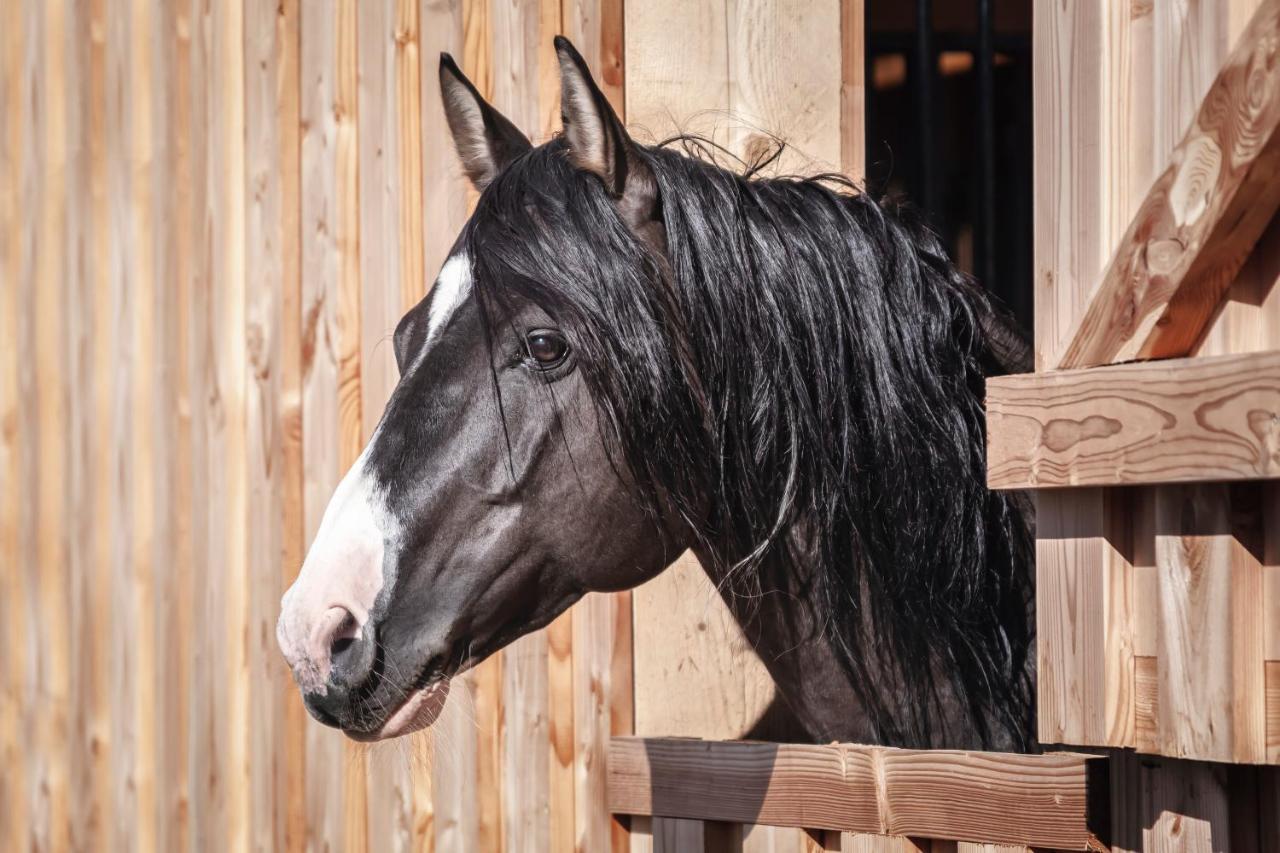 Ranchhouse Smoker- Westernstable - Horse Elterlein ภายนอก รูปภาพ